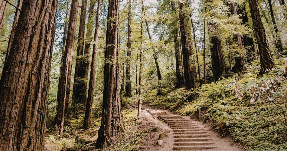 Hidden Gems in Fort Bragg You Need to Discover